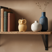 Load image into Gallery viewer, Owl Night Long Candle
