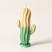 Load image into Gallery viewer, Les Cactus Candle
