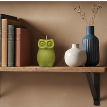 Load image into Gallery viewer, Owl Night Long Candle
