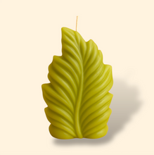 Load image into Gallery viewer, Wander Leaf Candle
